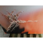 Средна триизмерна картина масло от Испания - 3796